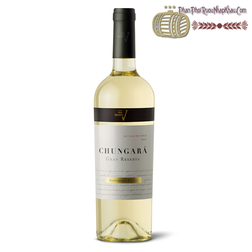 Rượu vang San Vicente Chungará Sauvignon Blanc Gran Reserva