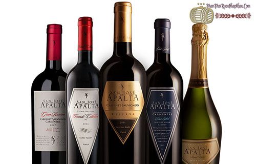 Rượu vang Chile Apalta